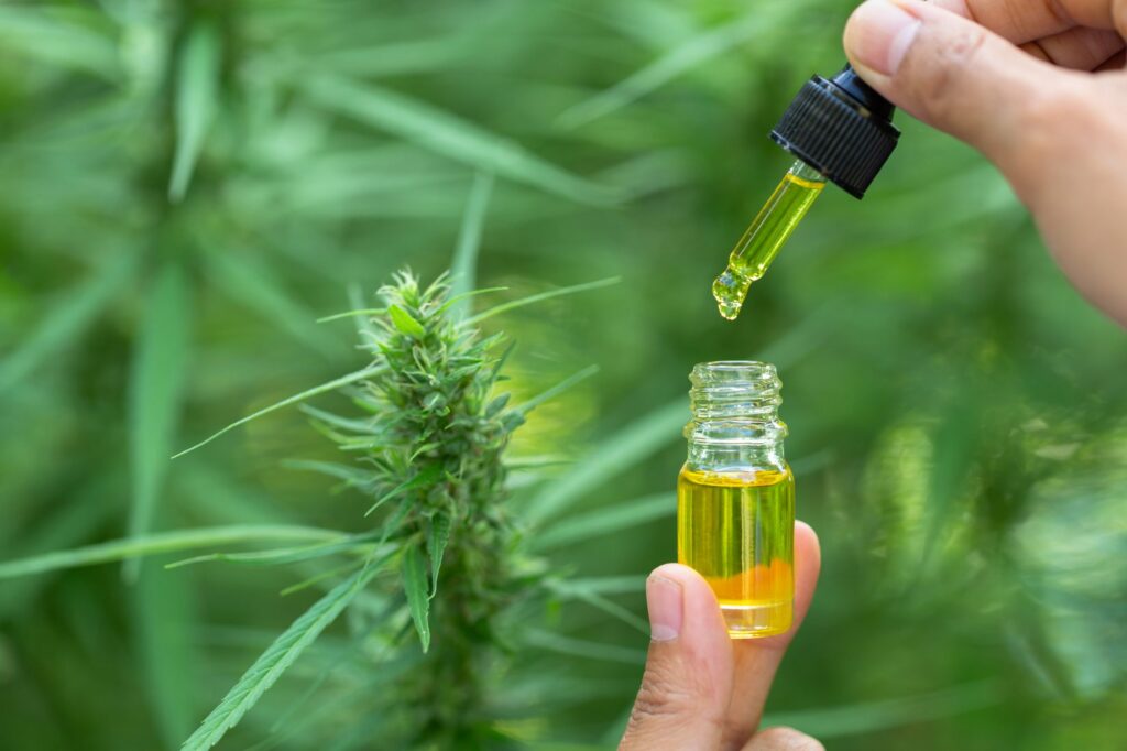 The Ultimate Guide to Choosing the Best CBD Oil for Your Health Needs