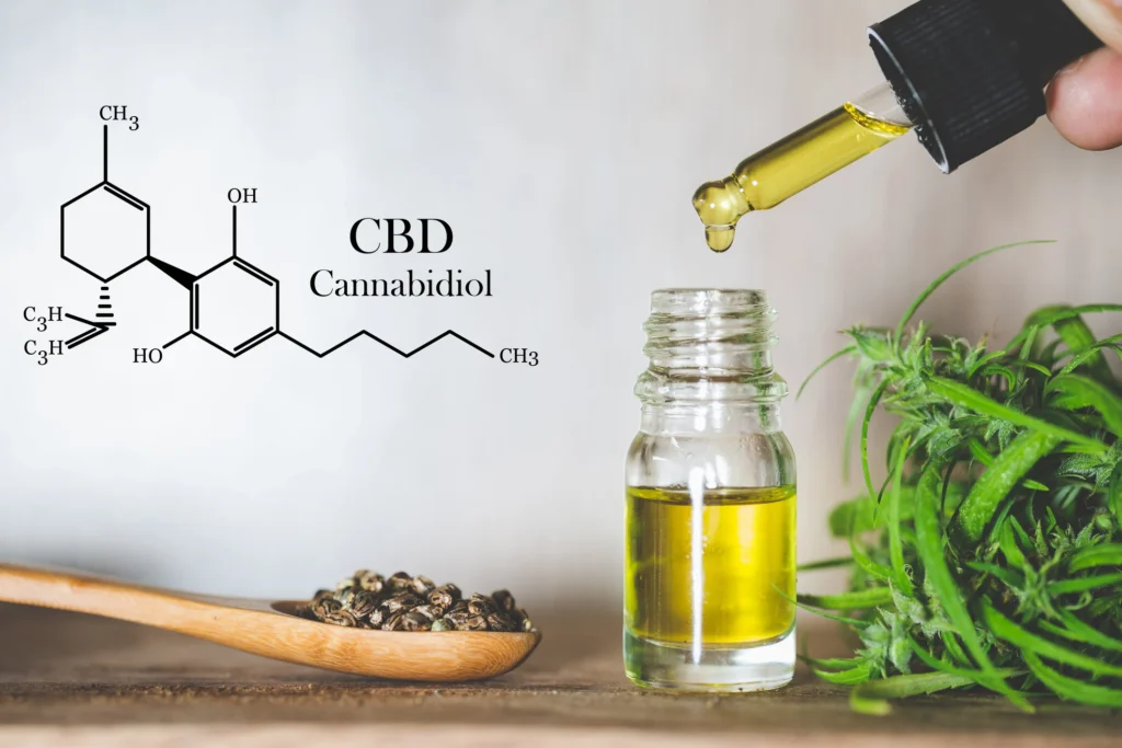 CBD Oil for Endocannabinoid System