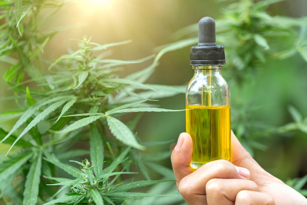What Is CBD Oil?