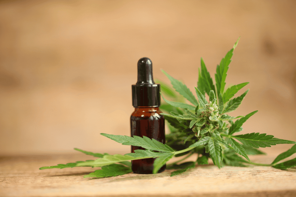 CBD Oil and Work-Life Balance